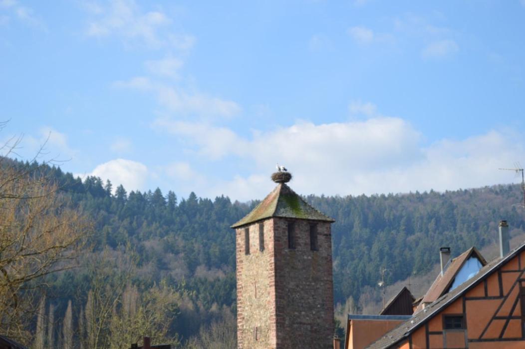 شقة Coeur D'Alsace كايزرسبرغ المظهر الخارجي الصورة